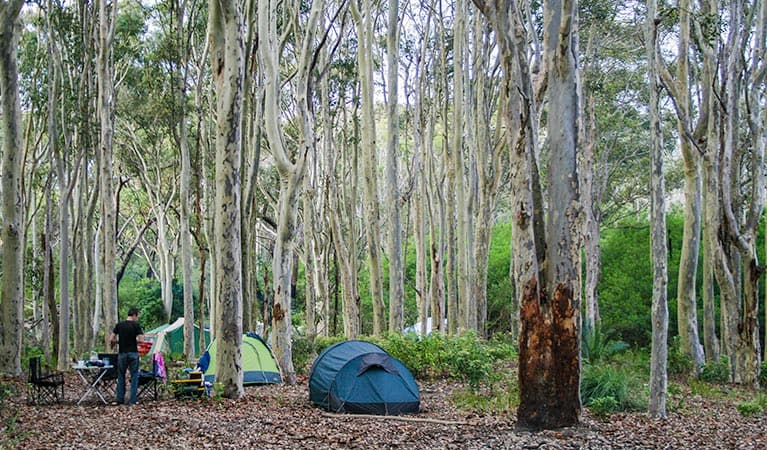 Brou Lake campground