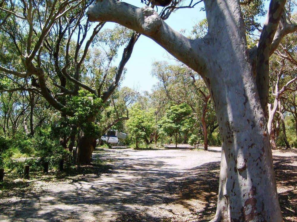 Brou Lake campground