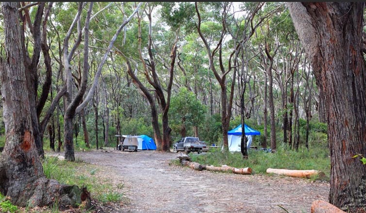 Free Beach Camping NSW