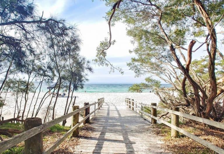 Camping in Jervis Bay – Escape to Paradise (Ultimate Guide 2023)