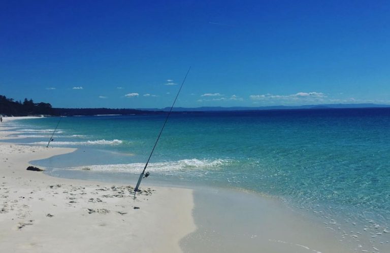 Fishing in Jervis Bay & Shoalhaven – The Ultimate Guide