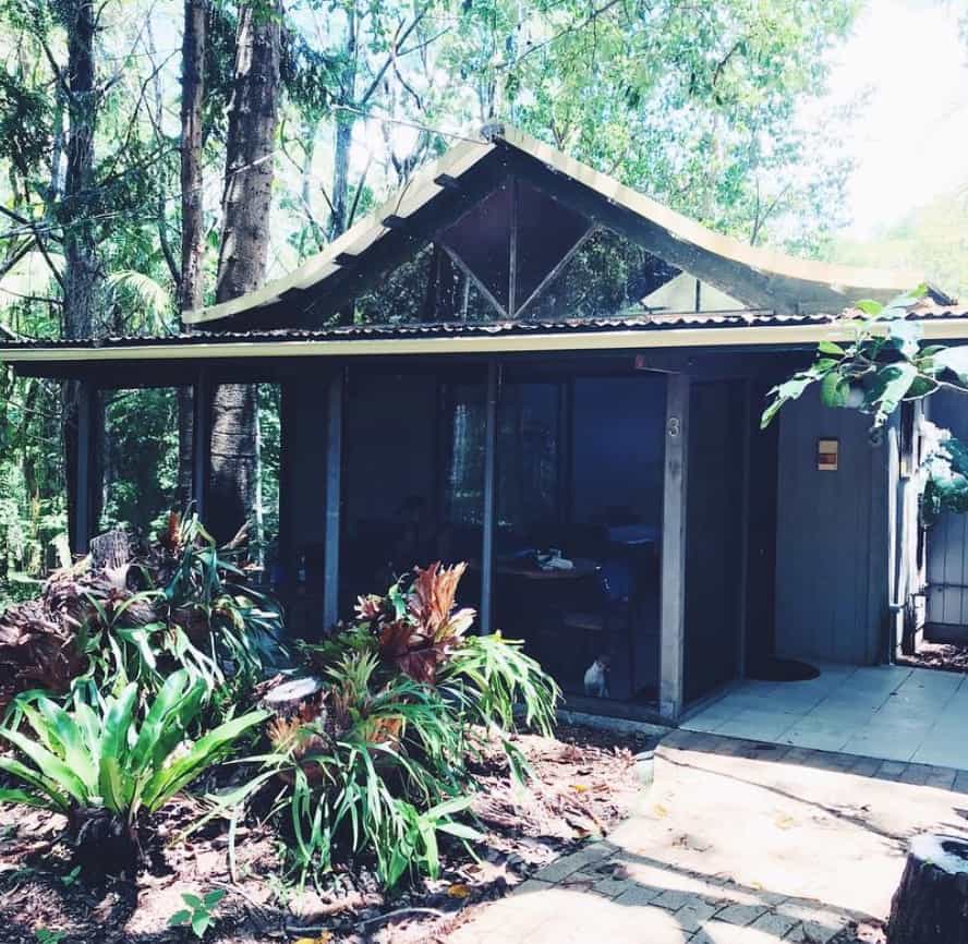 Dog Friendly Accommodation Byron Bay