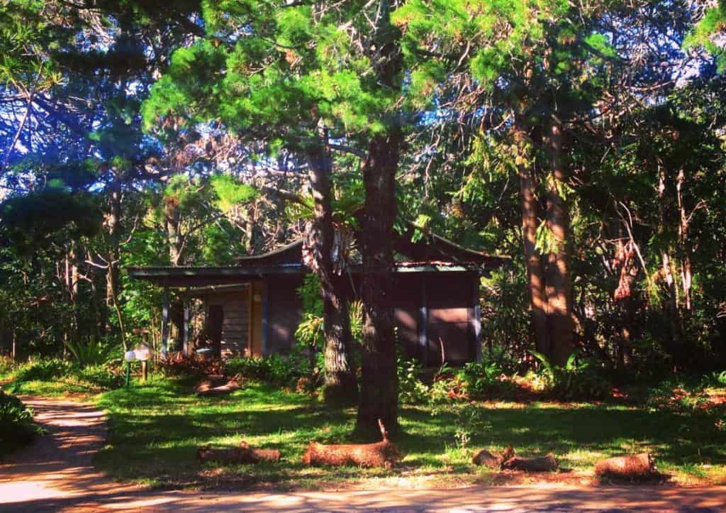 Dog Friendly Accommodation Byron Bay