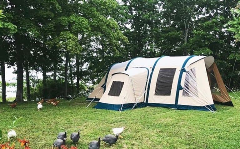 How to get rid of mold in a tent?