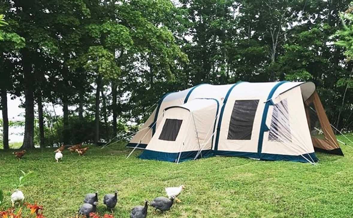 How to get rid of mold in a tent? Smart Camper Guide