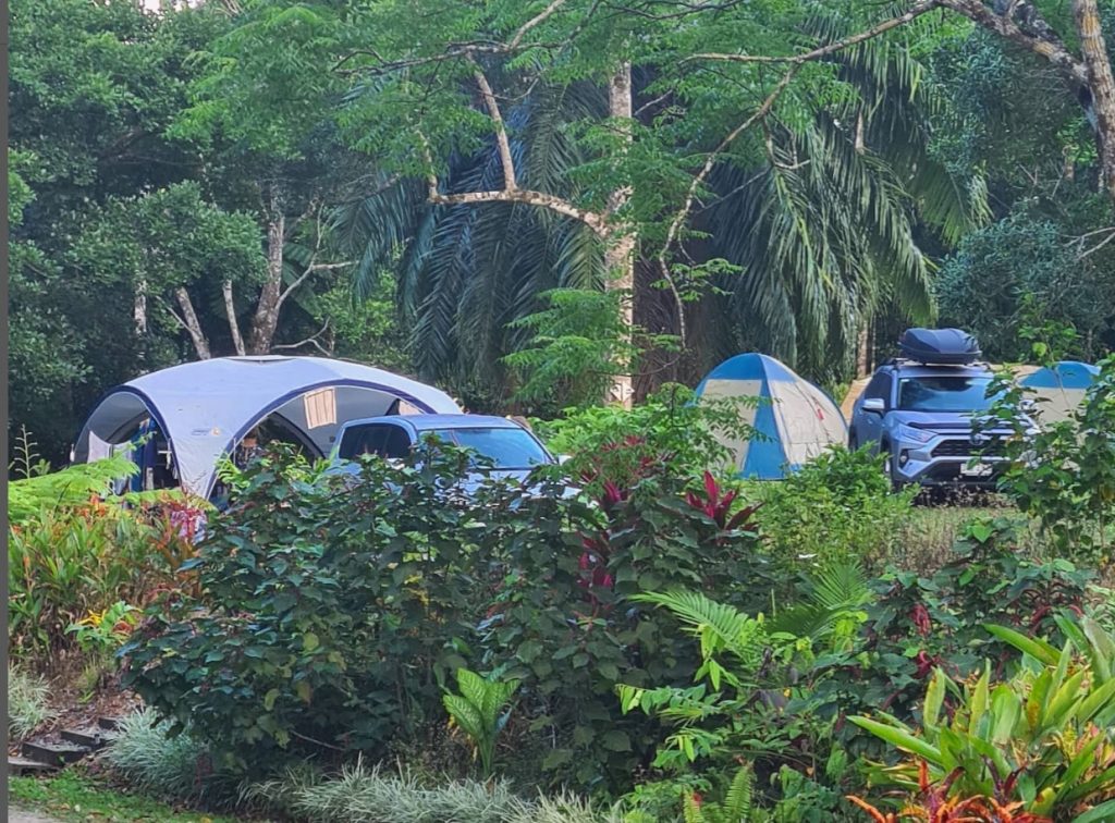 Best Places To Camp in the Daintree Forest