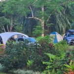 Best Places To Camp in the Daintree Forest